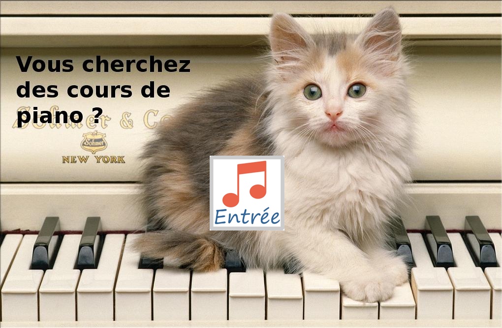 Vous recherchez des cours de piano ?